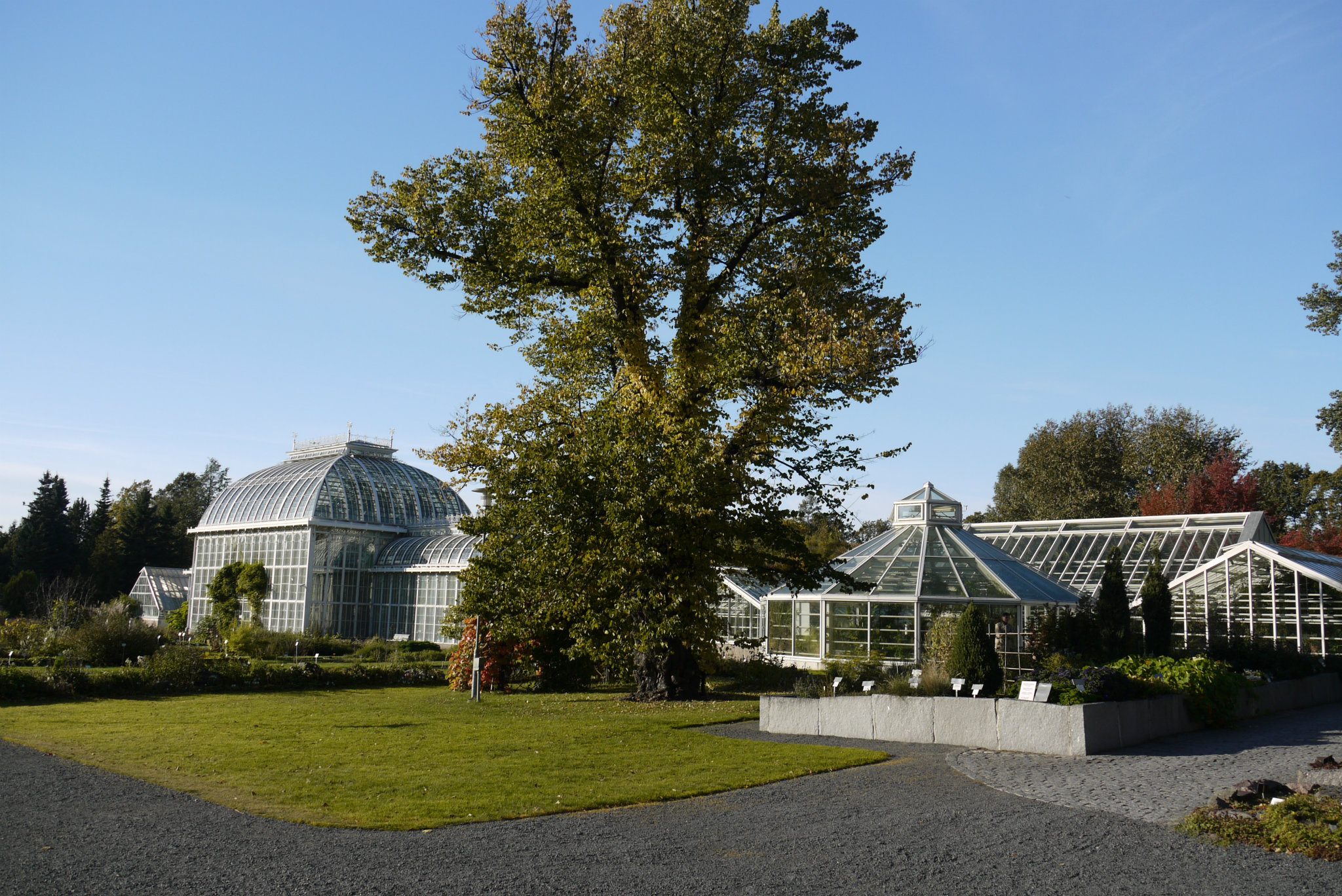 The University of Helsinki Botanical Garden Helsinki Discovering Finland