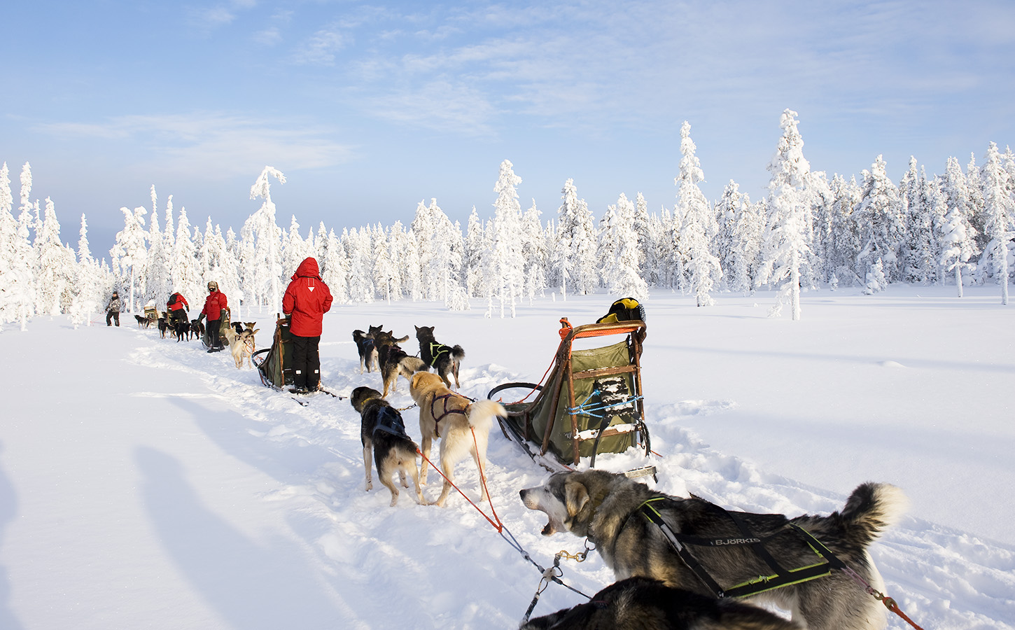 safaris-finland-winter-activities-discovering-finland
