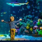 Sea Life Helsinki