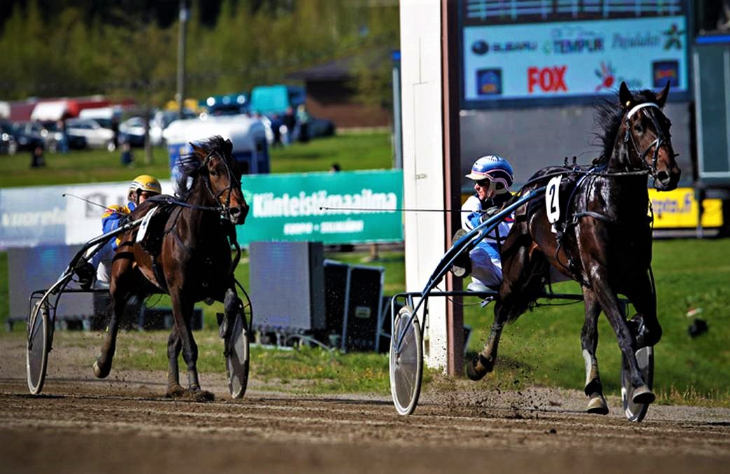 Sorsasalo Racetrack Kuopio