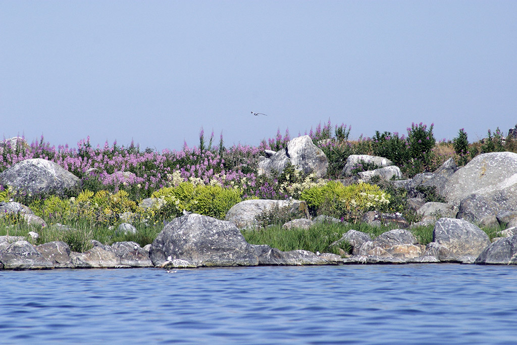 Kvarken Archipelago - photo © MEK Finnish Tourism Board