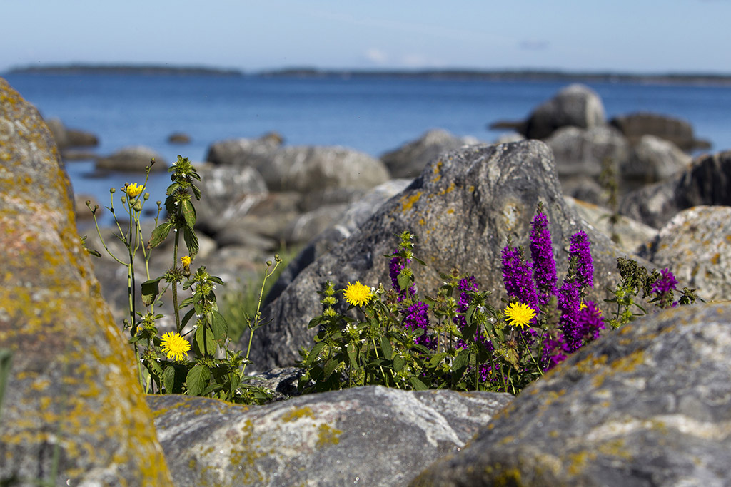 Kvarken Archipelago - photo © MEK Finnish Tourism Board