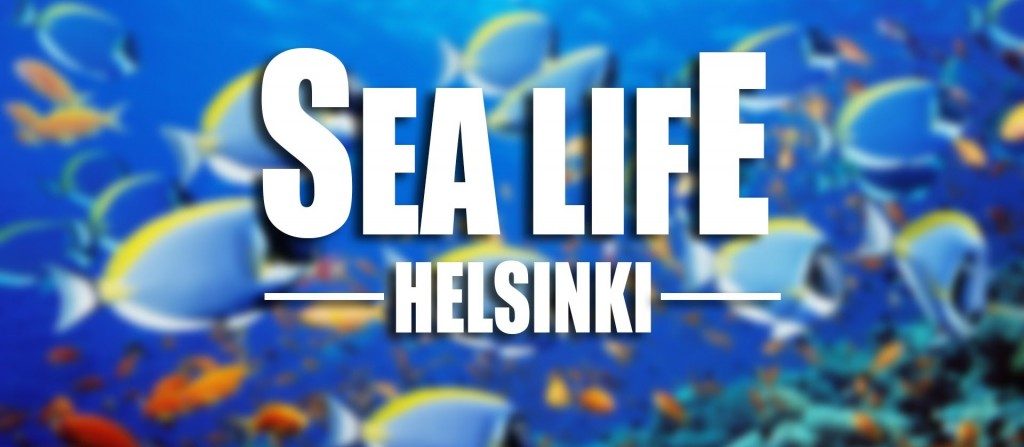 Family Vacations in Finland | Sea Life Helsinki