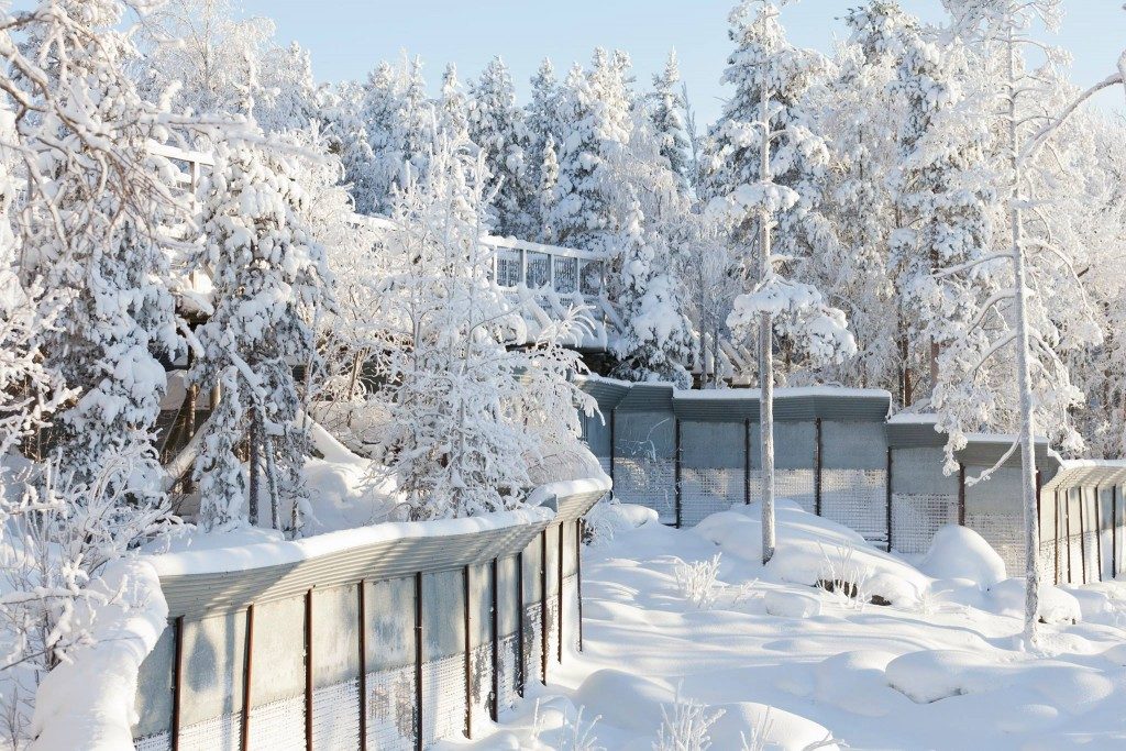 Ranua Wildlife Park - Family Vacations in Finland