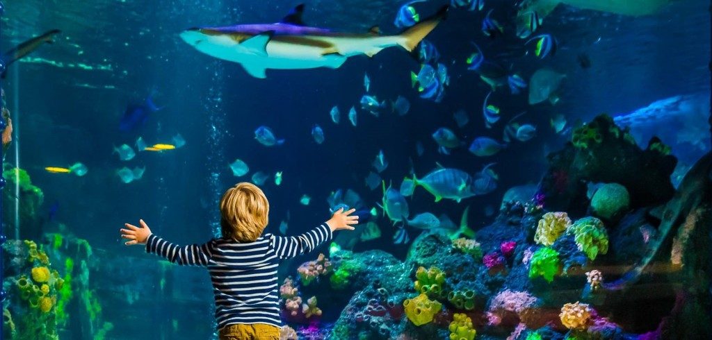 Sea Life Helsinki - Family Vacations in Finland