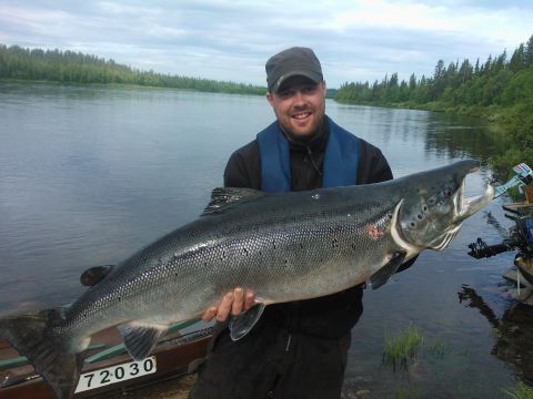 Salmon Finland Ylimuonio - Discovering Finland