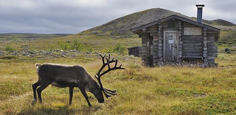 Käsivarren erämaa-alue - Discovering Finland
