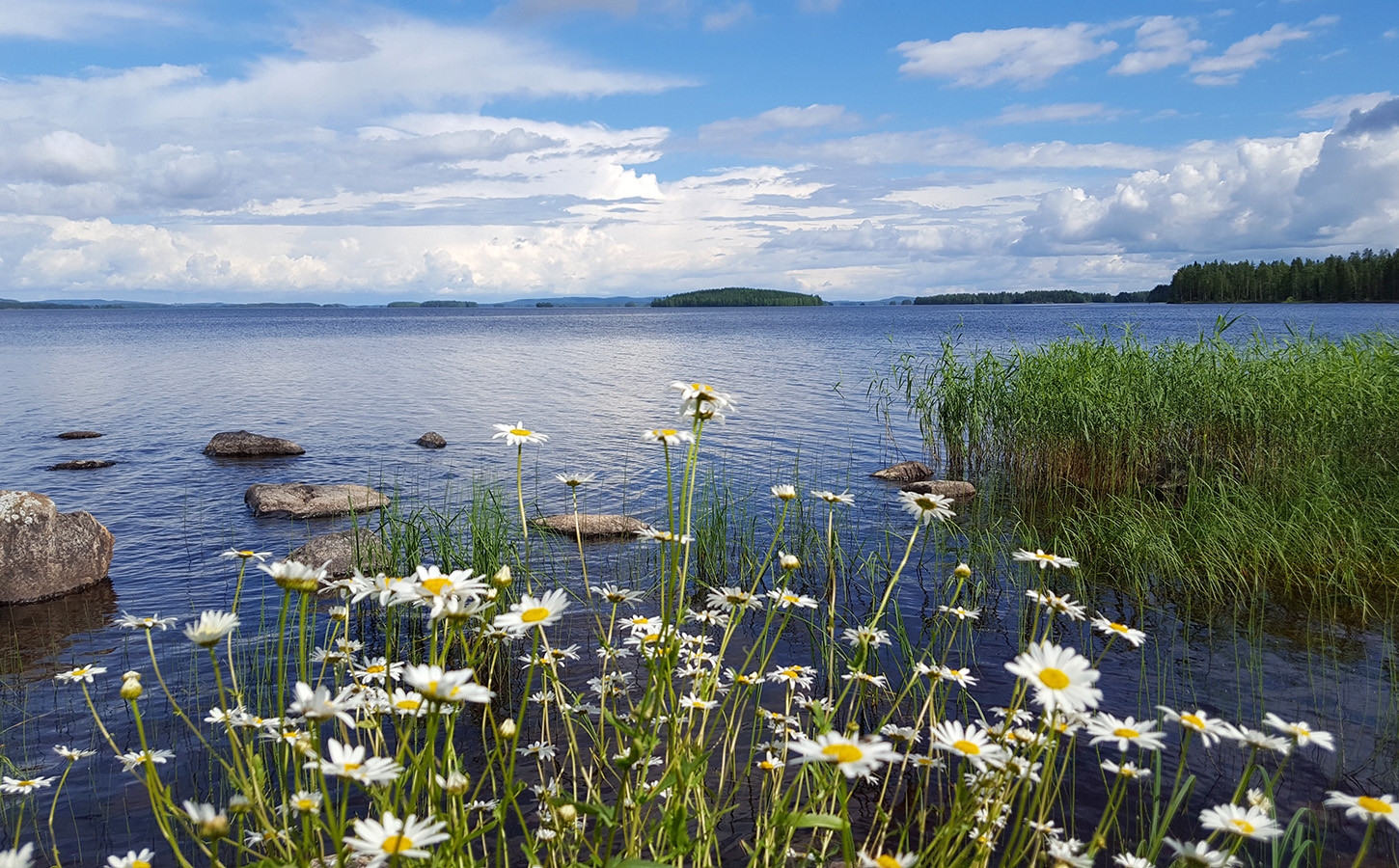 halvt bladre Økologi Nature Attractions Finland - National Parks - Wildlife | Discovering Finland