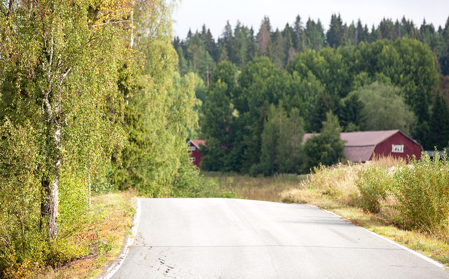 Getting Around in Kuhmo - Transportation Kuhmo | Discovering Finland