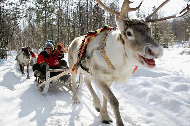 Reindeer Sleigh Ride