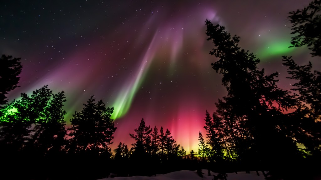 Northern Lights Lapland