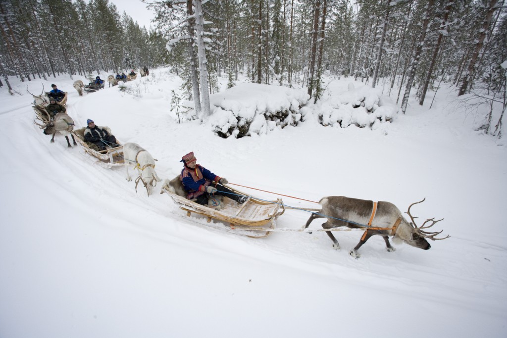 Rreindeer Sleigh Ride