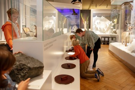 The Natural History Museum Helsinki - Discovering Finland