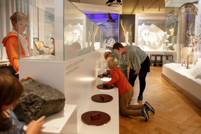 The Natural History Museum Helsinki - Discovering Finland