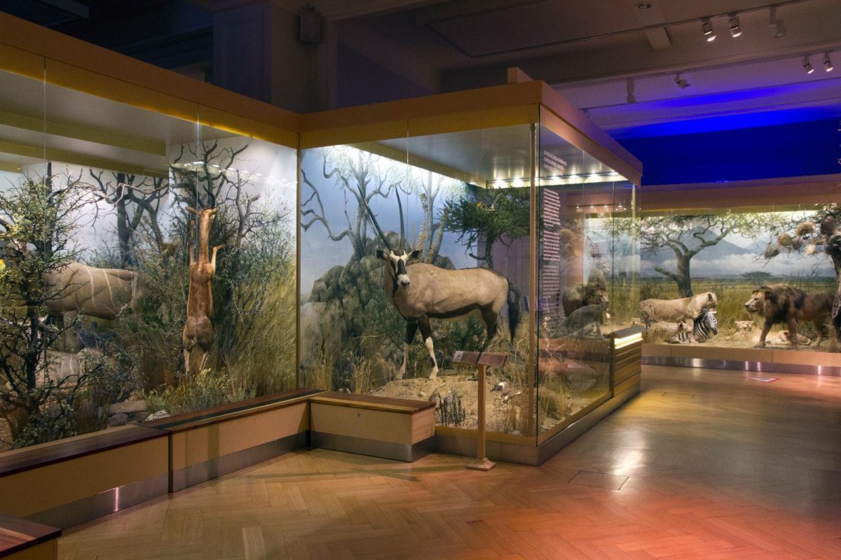 the-finnish-museum-of-natural-history-helsinki-discovering-finland