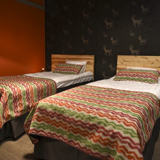 Holiday Village Valle - Discovering Finland