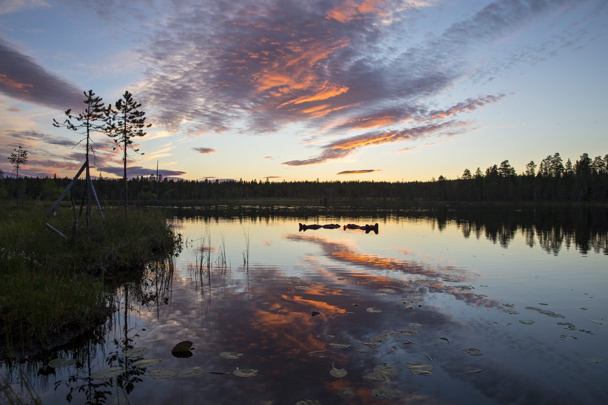 Midnight Sun Floating in Lake in Rovaniemi Rovaniemi - Discovering Finland