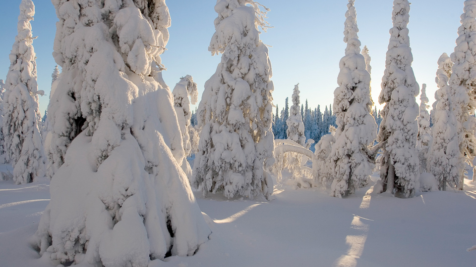 Winter Archipelago Excursion - From Helsinki - Taiga Times