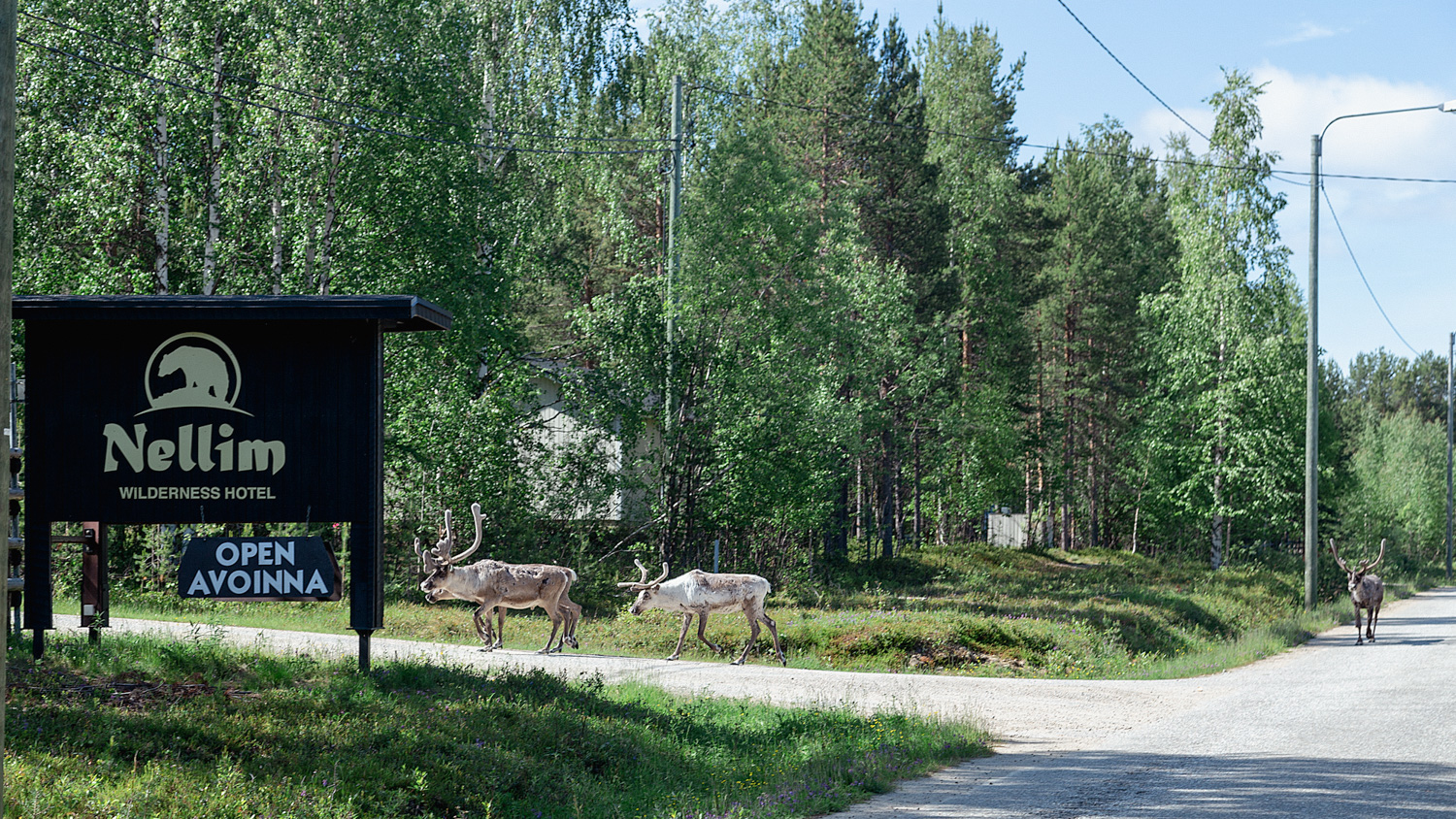 Wilderness Hotel Nellim