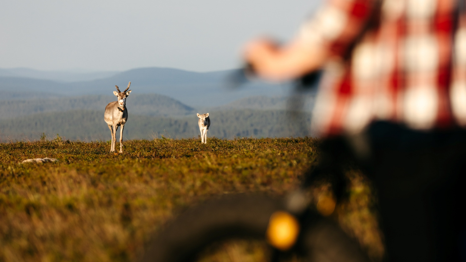 Muotka northern nature adventure